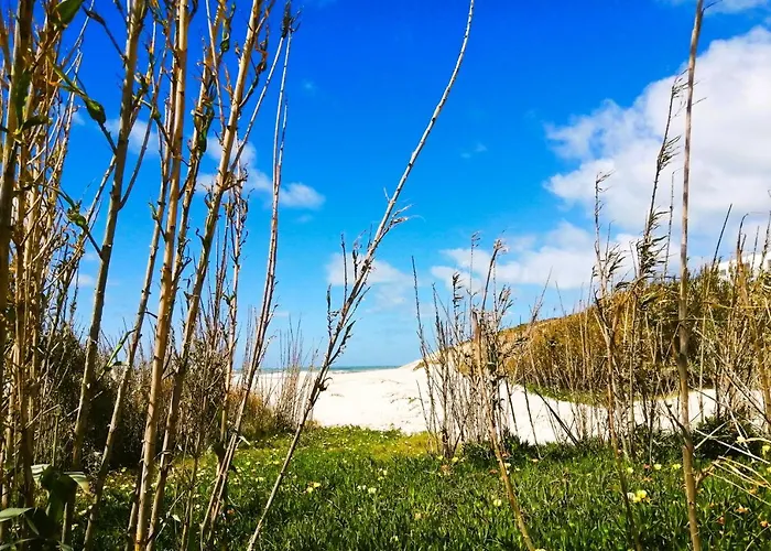 D'el Rey The Golf & Óbidos